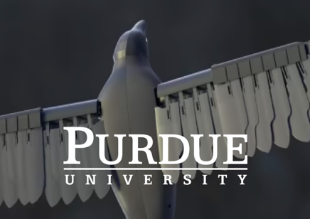 Purdue University